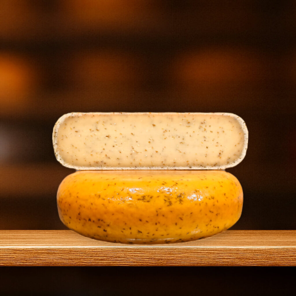 Komijn Oud Goudse 48+